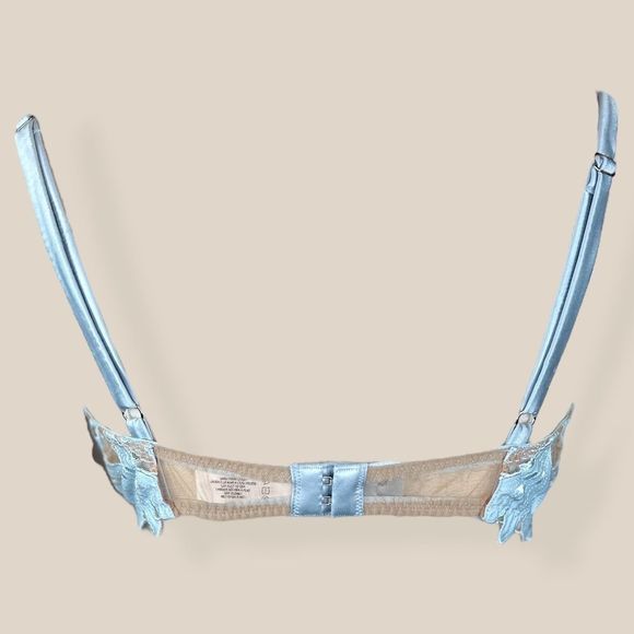 Fleur Du Mal LILY EMBROIDERY PLUNGE DEMI BRA - SOLD OUT POWDER BLUE - Picture 4 of 6